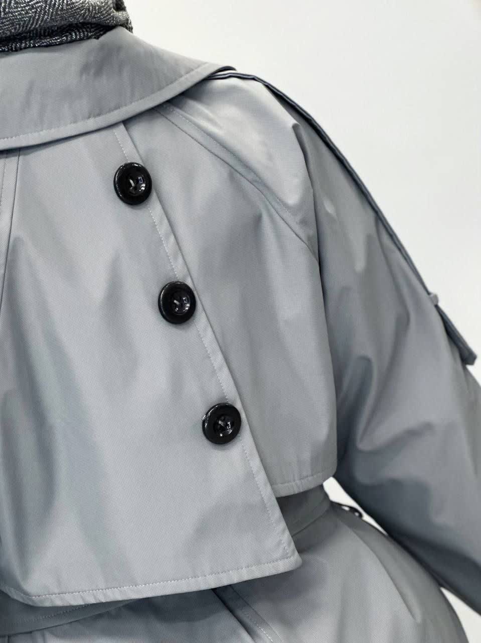 1890- بارونی آستردار بارلی