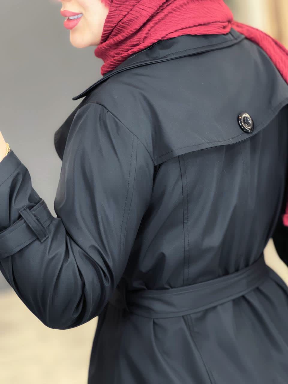 1918- بارونی آستردار لی لی