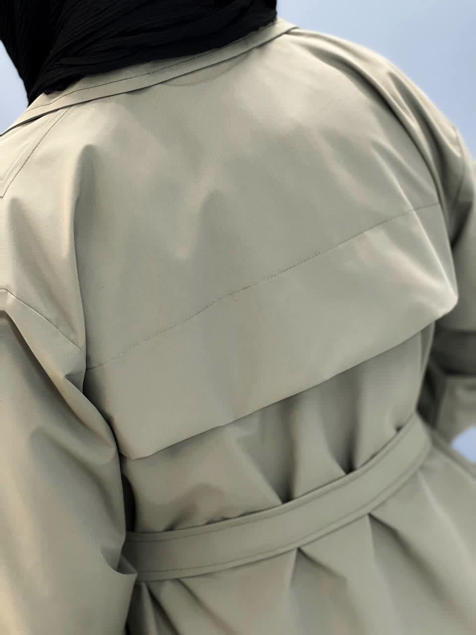 1930- بارونی آستردار نیروانا