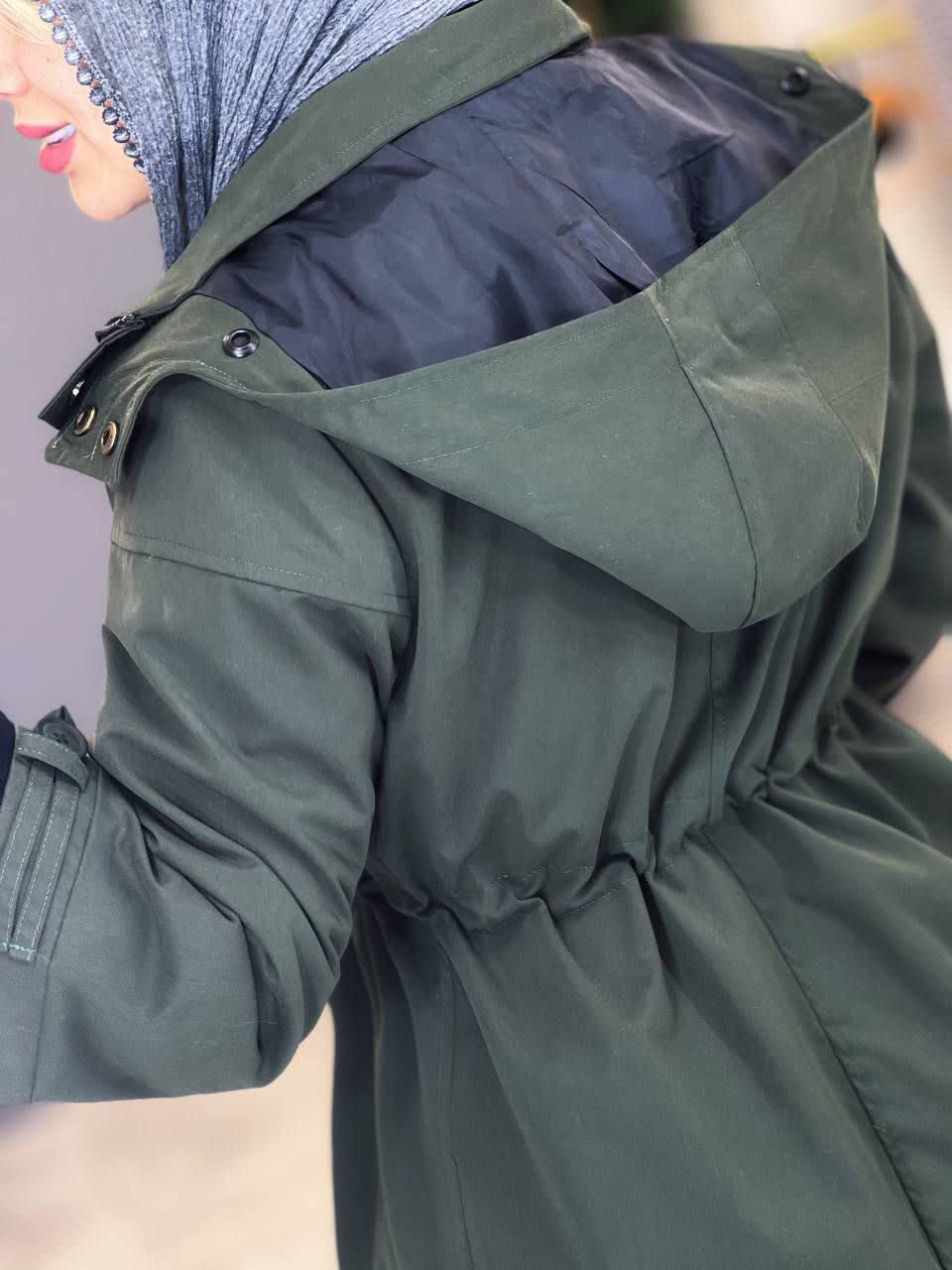 1954- بارونی بلند سیدرا