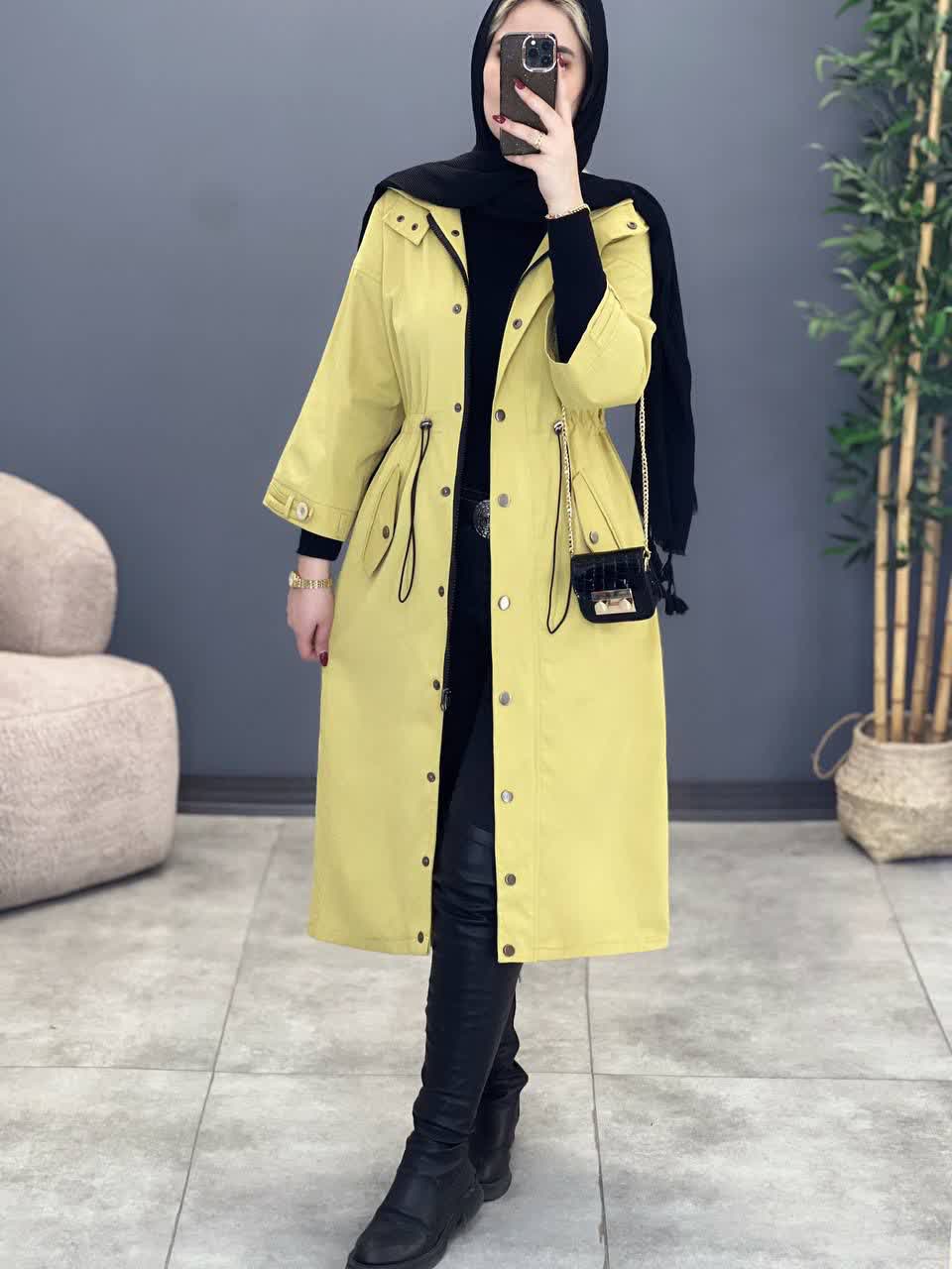 1954- بارونی بلند سیدرا