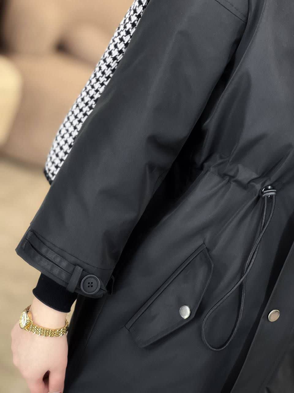 1954- بارونی بلند سیدرا