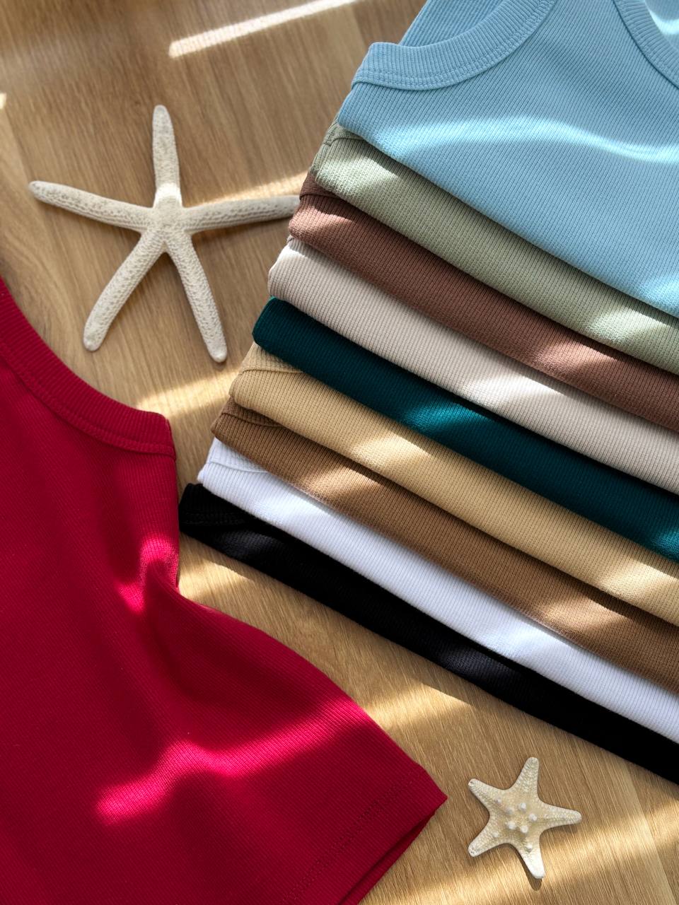 1518- تاپ بیسیک