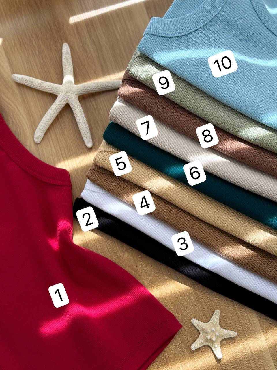 1518- تاپ بیسیک