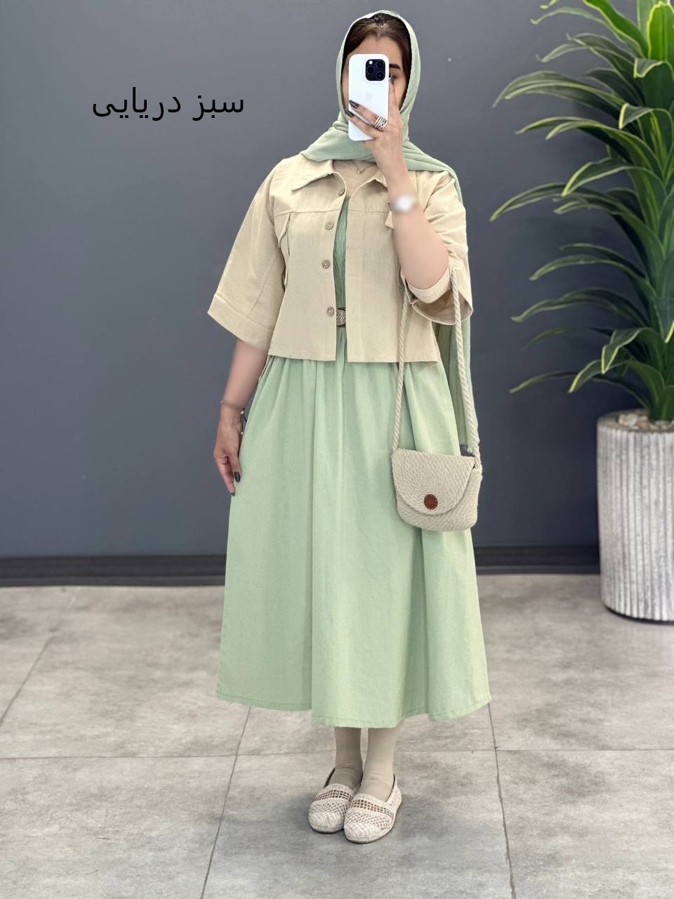 1705- دو تیکه نبات