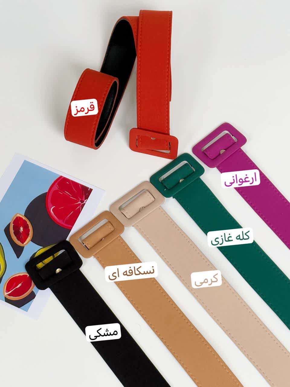 2014- کمربند شارلوت