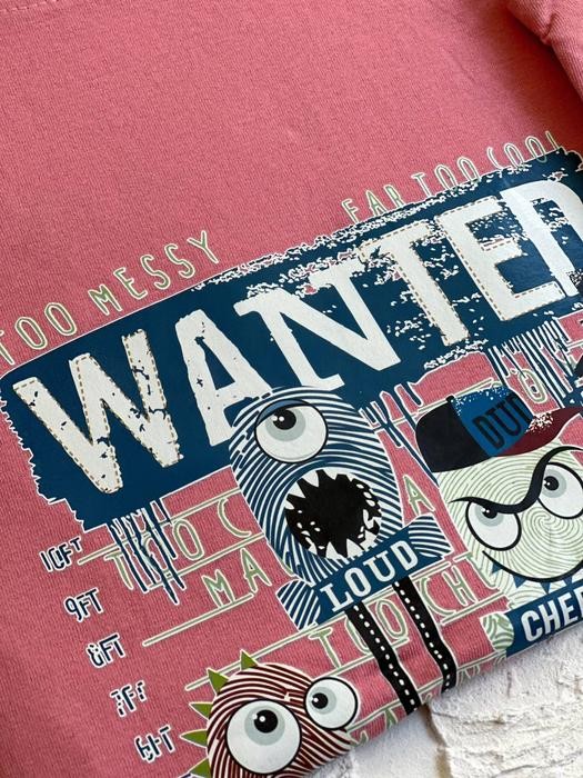 1464- تیشرت کد 017