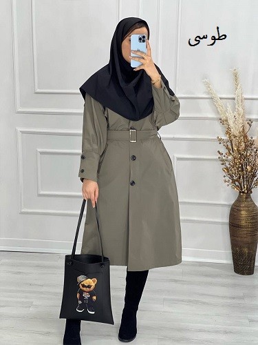 0458- بارونی مزونی اِلین