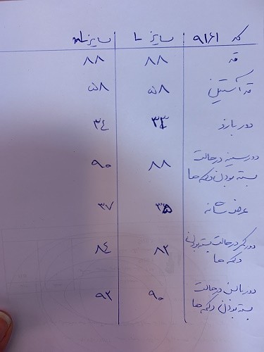 0616_ کت جین طوسی