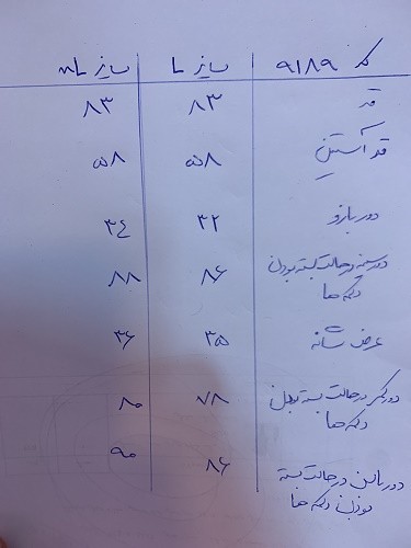0616_ کت جین طوسی