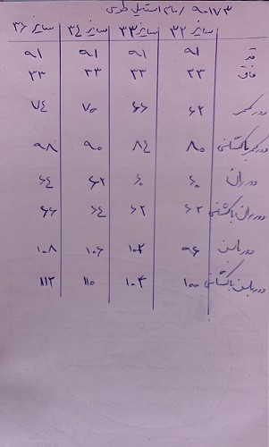 9017-مام استایل مودا طوسی