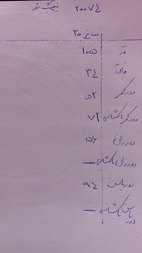 20074 - شلوار نیم بگ رز