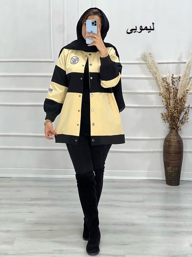 0574- بارونی ترکیبی هیراد