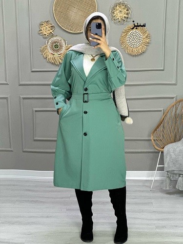 0785- بارونی مزونی الین