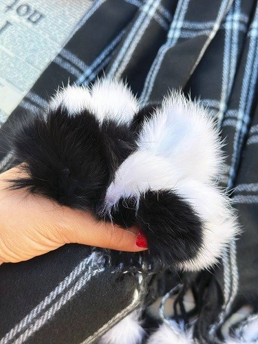 0156_شال پرنسا