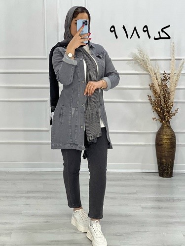 0616_ کت جین طوسی