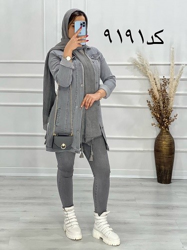 0616_ کت جین طوسی