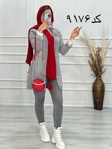 0616_ کت جین طوسی