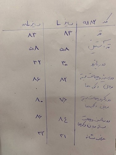 0627_ کت جین طوسی