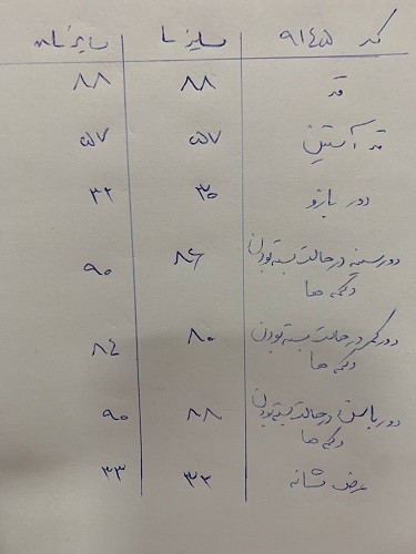 0627_ کت جین طوسی