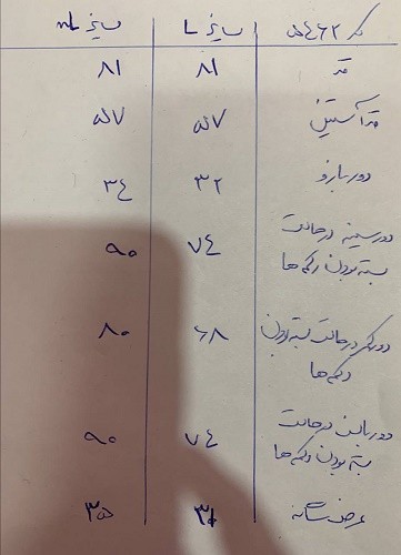 0627_ کت جین طوسی