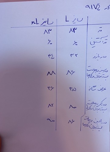 0616_ کت جین طوسی