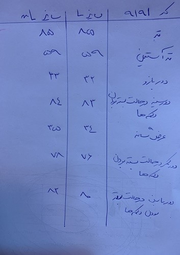 0616_ کت جین طوسی