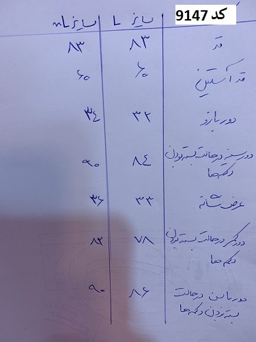 0616_ کت جین طوسی