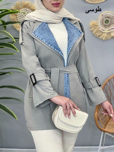 1493-بارونی ترکیبی فندی