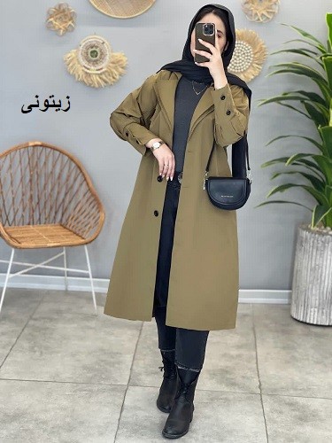 1495- بارونی مزونی الین