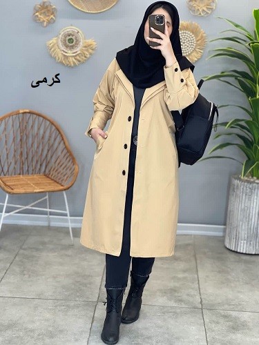 1495- بارونی مزونی الین