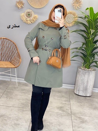 1501- بارونی آستردار نیوان