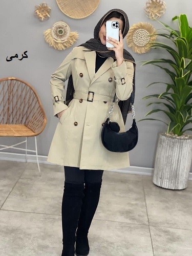 1501- بارونی آستردار نیوان