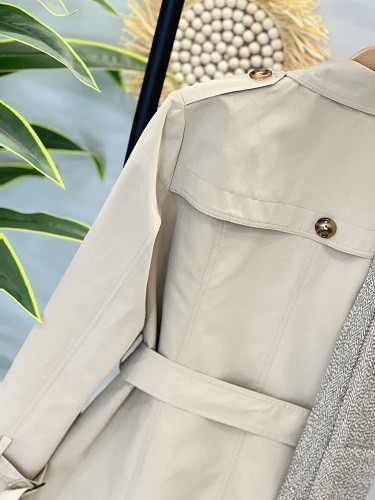 1501- بارونی آستردار نیوان