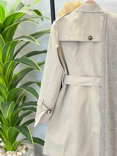 1501- بارونی آستردار نیوان