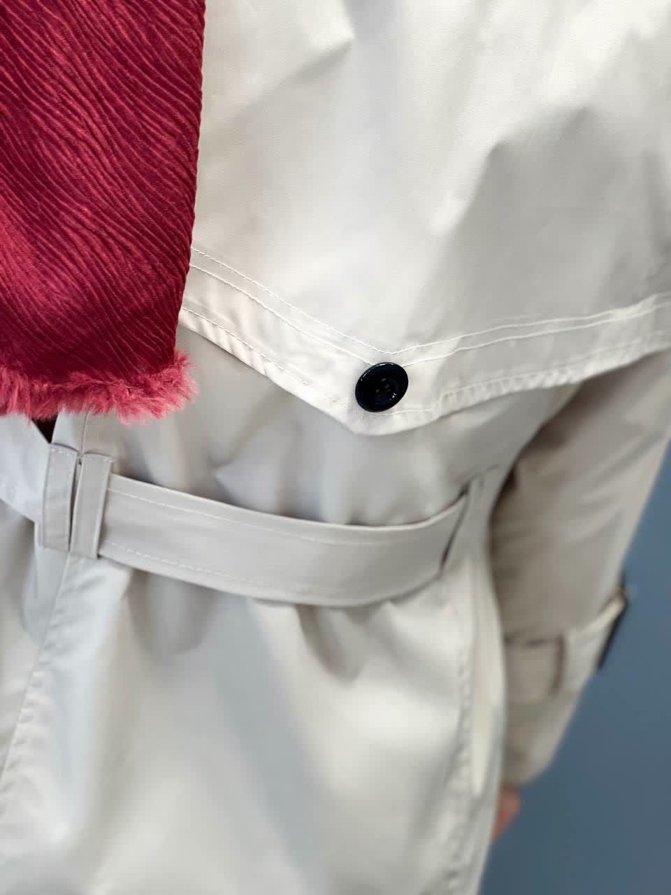 1648-بارونی رونیکا