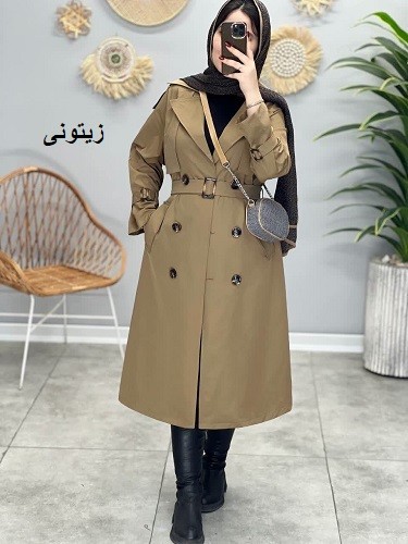 1673-بارونی بلند آوینا