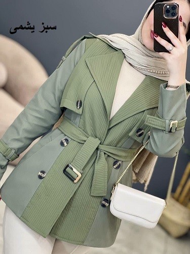 1684-بارونی آستردار سودا