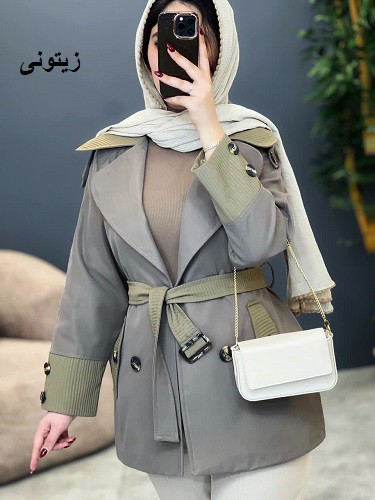 1686-بارونی آستردار هانا