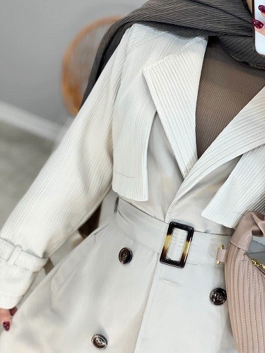 1689-بارونی آستردار ترلان