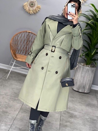 1689-بارونی آستردار ترلان