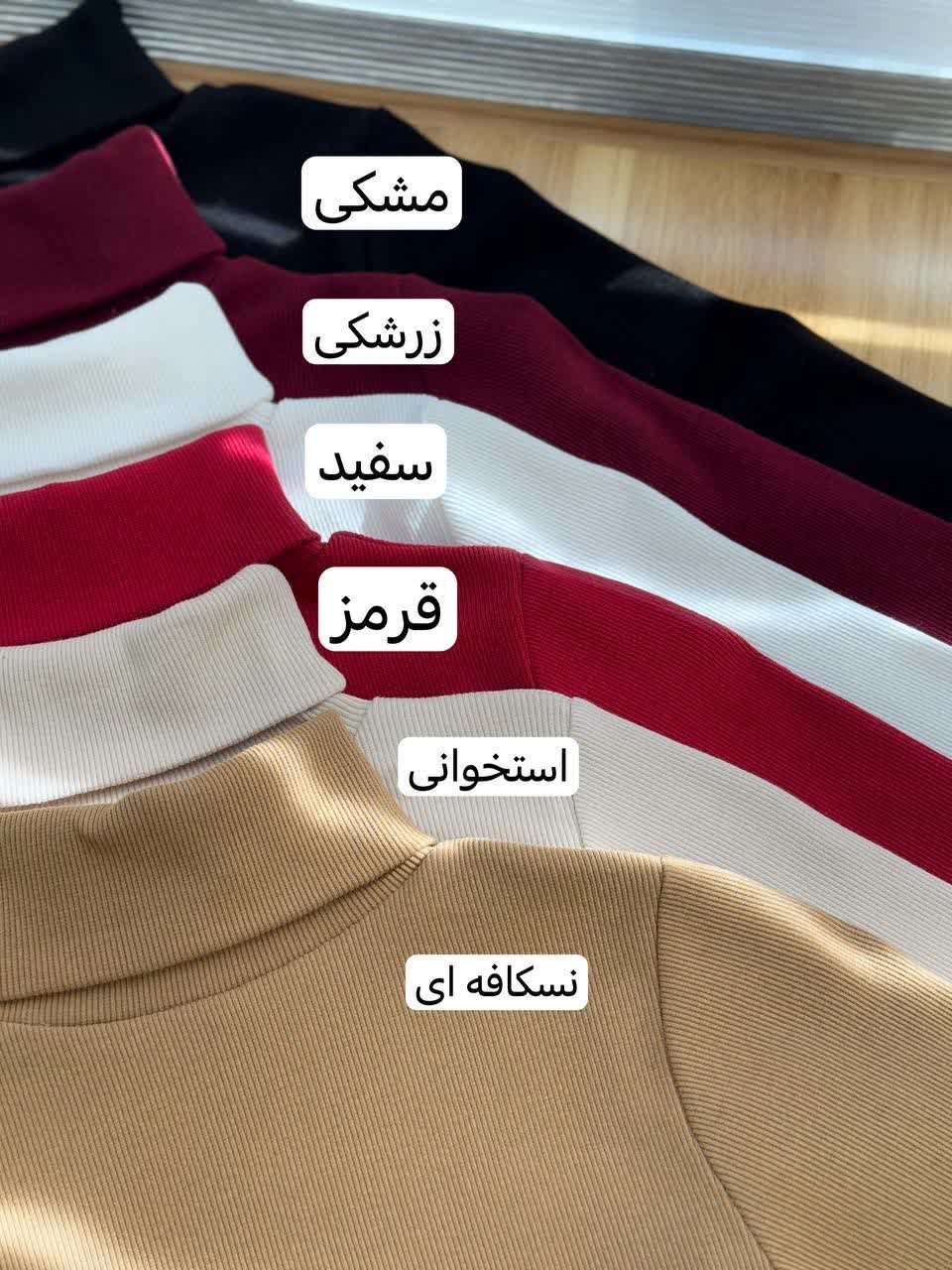 1895_ بادی یقه اسکی زارا