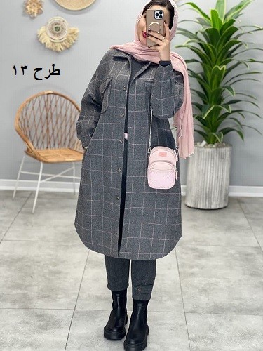 1801_شکت آنیلا